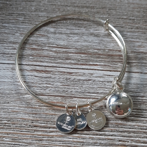 Alex and Ani birthstone bangle February Amethyst - Picture 2 of 2